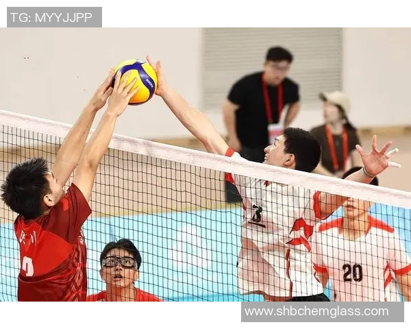 广州排球队精英赛表现分析:团队配合与战术执行的完美结合